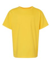 Youth Softstyle® Midweight T-Shirt - 65000B - Image 2
